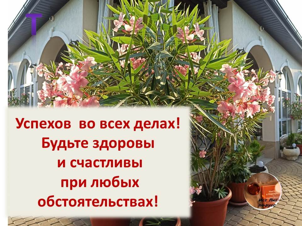 пожелания автора