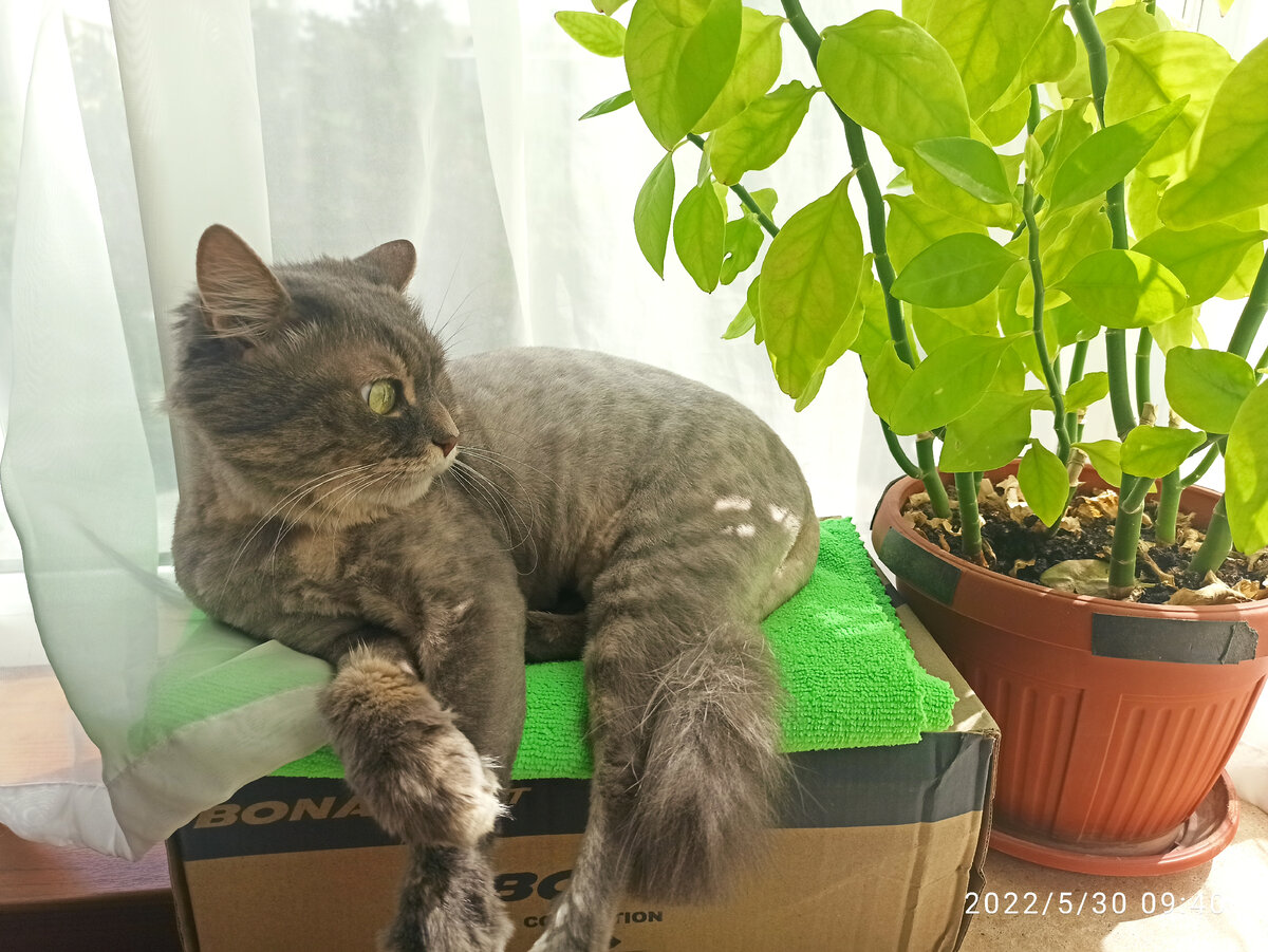 Маняха на майском солнышке