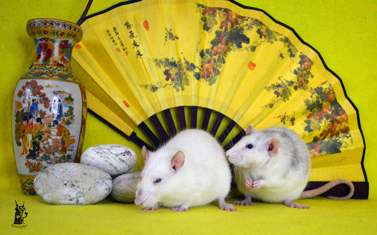 Флатти и Хельга