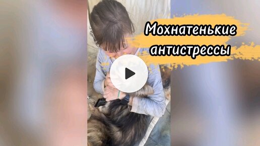 Мохнатенькие антистрессы 😊