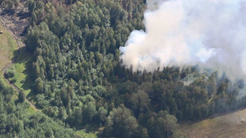   Фото ДИП Свердловской области
