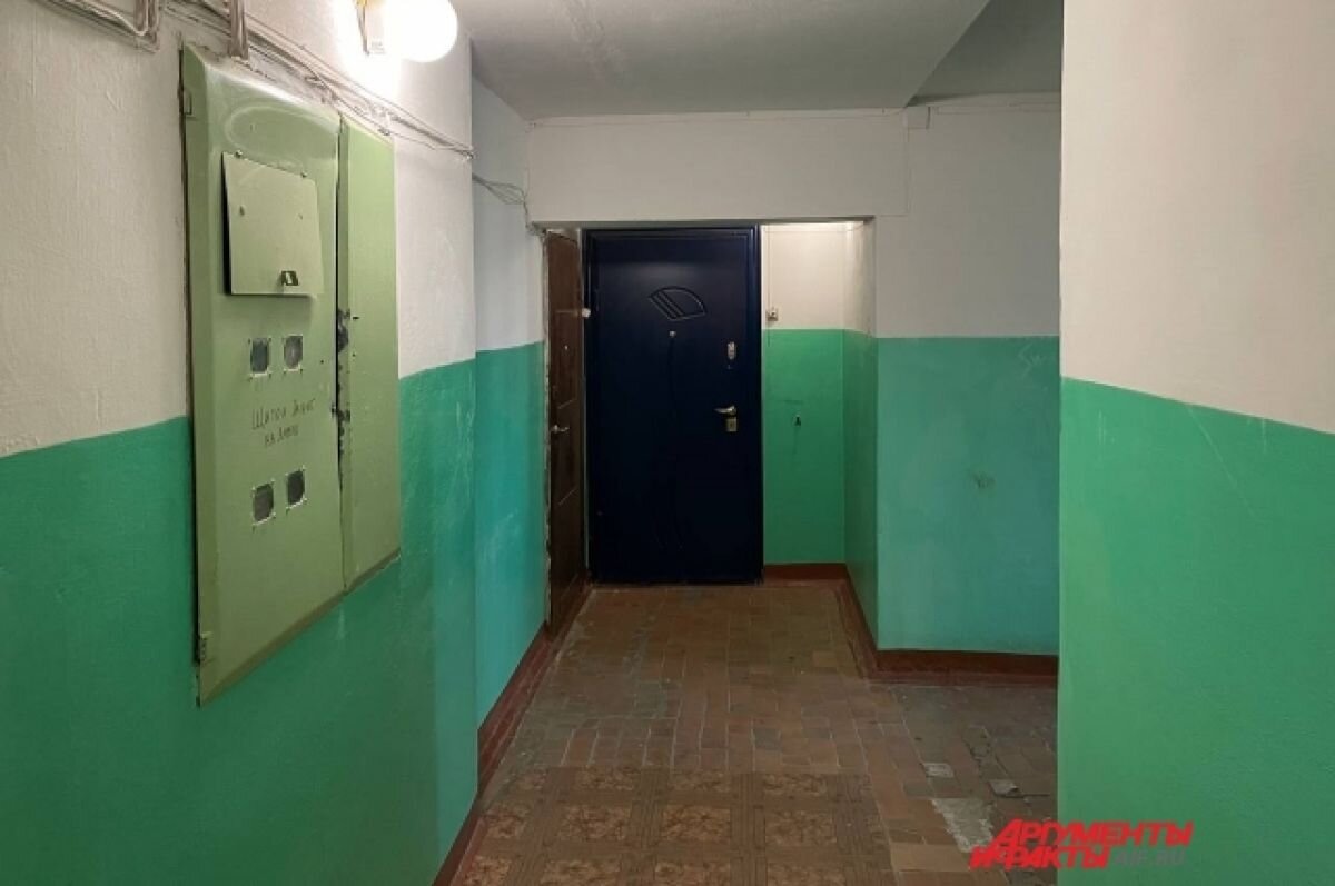    Обвиняемая в убийстве матери и дочери в Перми назвала причину расправы