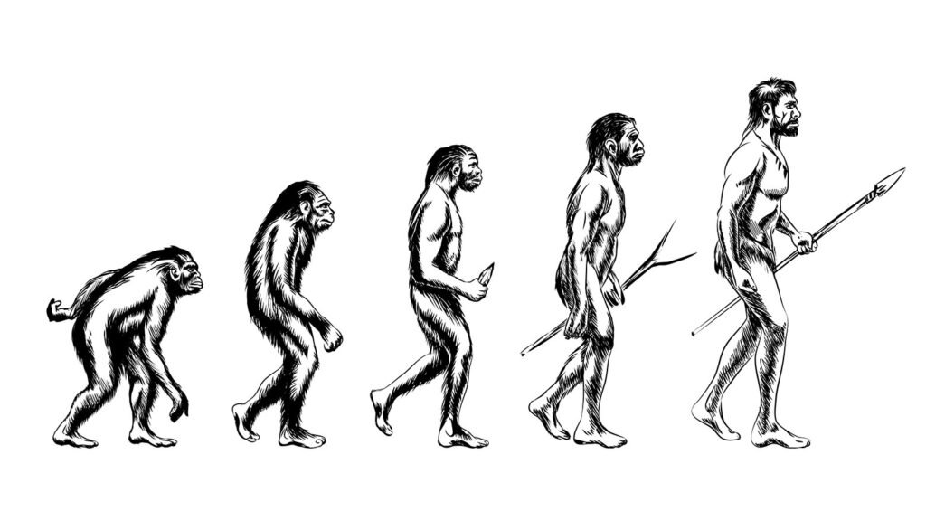    Human evolution. Monkey and australopithecus, neanderthal and animal, vector illustration Александр Шереметьев