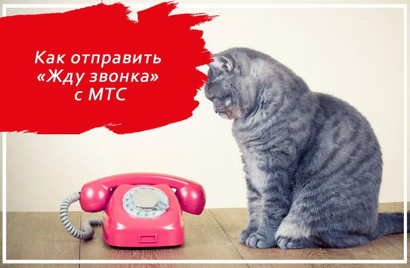 Не нужно сидеть сутками у телефона и ждать его звонка. Отвлекитесь и займитесь своими делами. Если это ваш человек, он вам позвонит. Источник фото https://clck.ru/32Q9mt