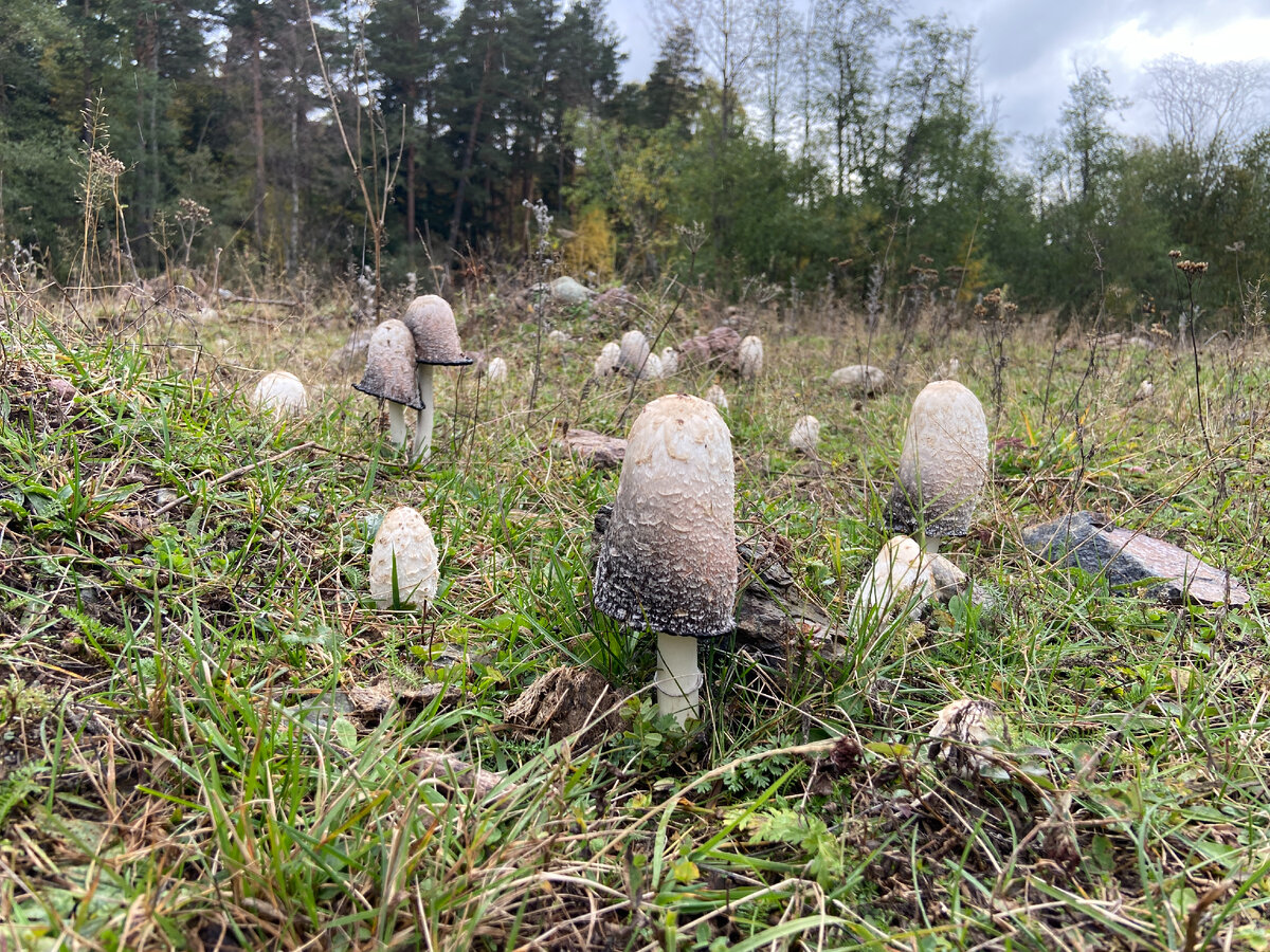 Великолепная природа осеннего Архыза