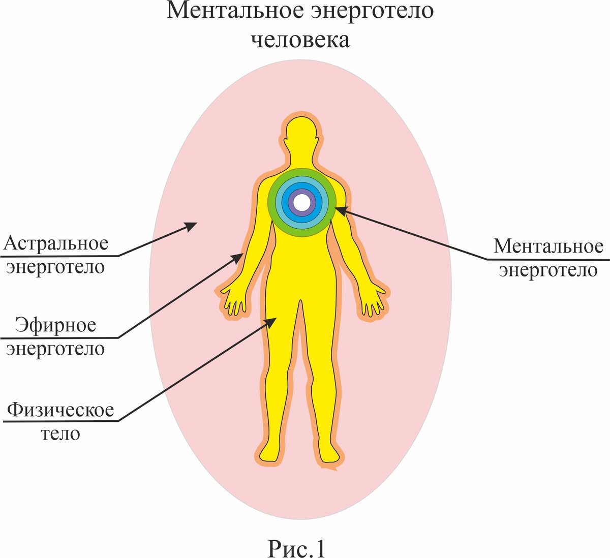 Ментальный человек это простыми