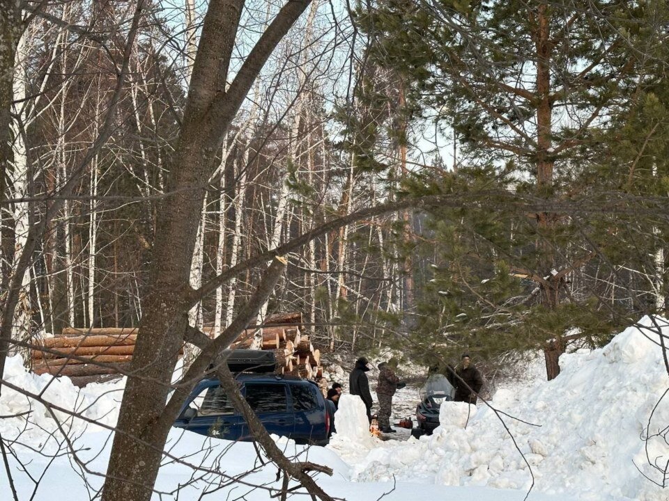 Василисы Мальцевой