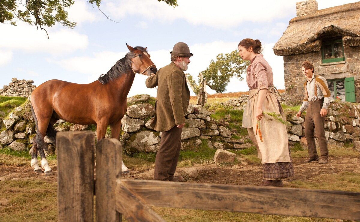 Фермер купил скакового коня