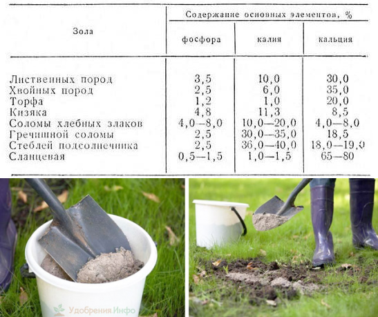 Какие культуры любят золу. Состав золы из плодовых деревьев. Древесная зола удобрение. Как разводить золу для подкормки растений. Зола для огорода.