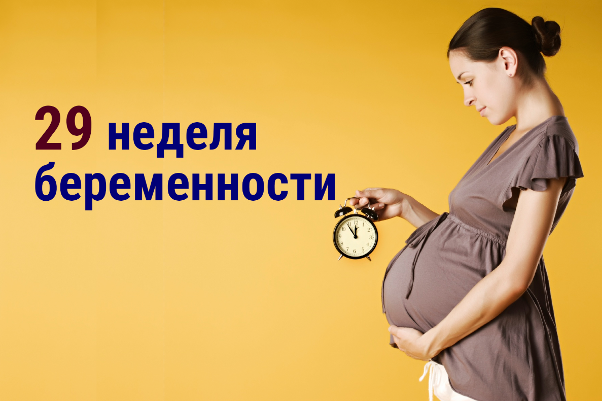 29 неделя беременности | 👶🏻KROHIPRO👶 - Беременность, питание, подготовка  к родам, воспитание детей - Всё о детях и их родителях🤱🏻 | Дзен