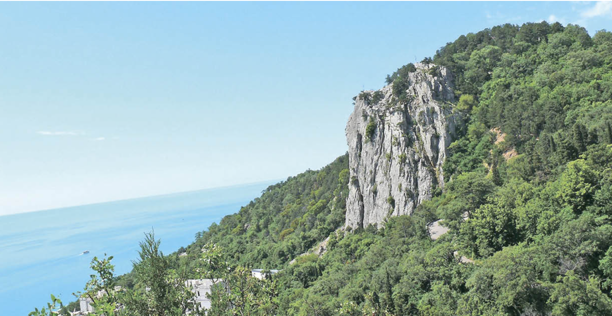 Фото: Кирилл Белозёров