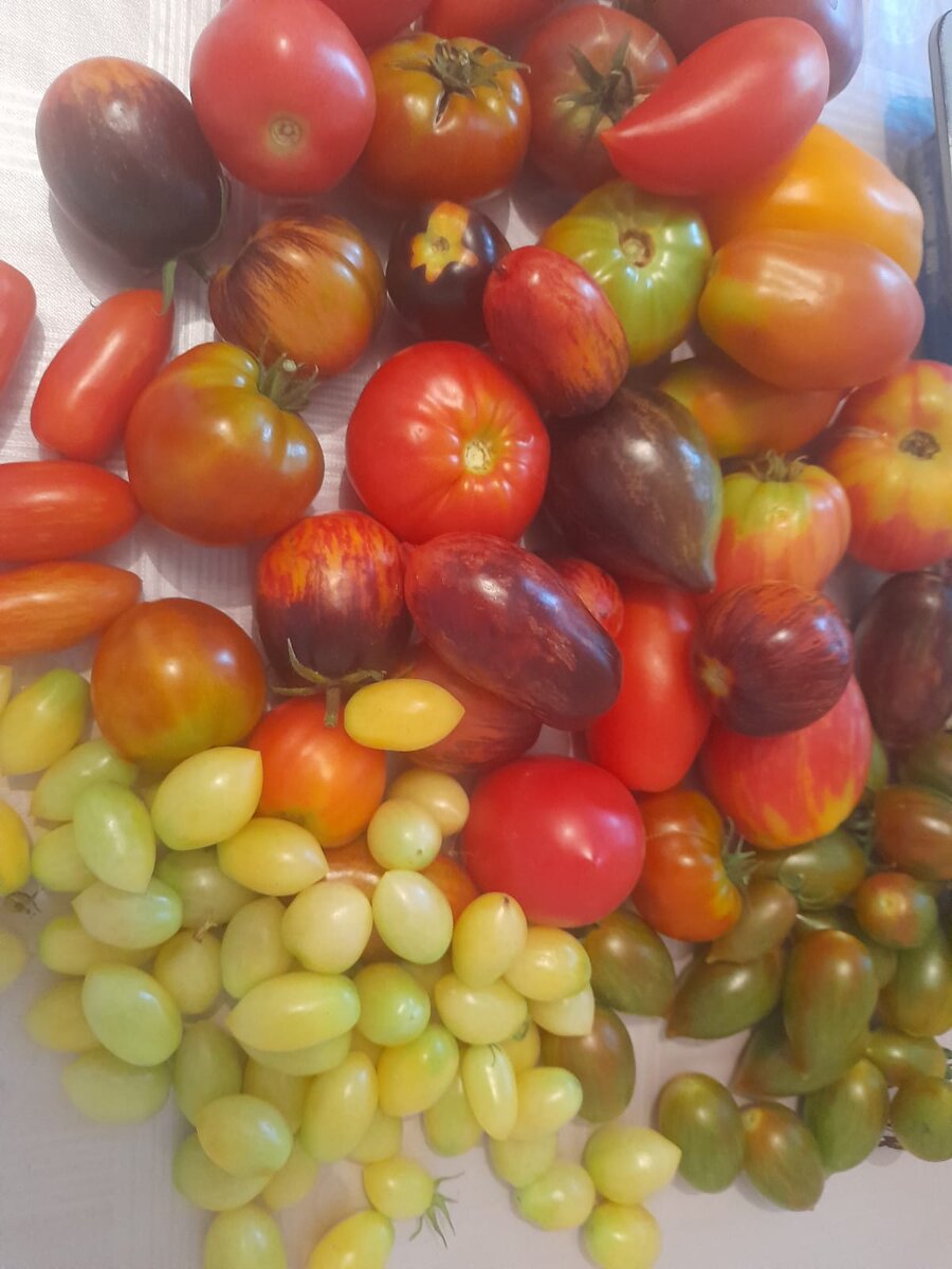 Урожай сезона 2023 года.