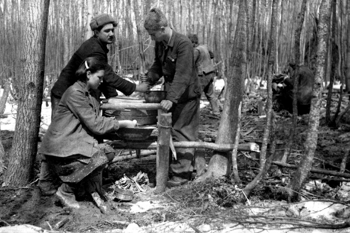 Партизаны в лесу картинки