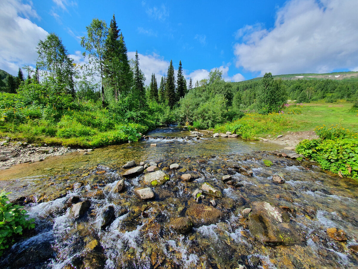 Далее к озёрам ведёт пешеходная тропа. Примерно от мостика через ручей. Хотя и тут, как видно, "бродят". Но всё равно далеко на машине тут уже не проехать.