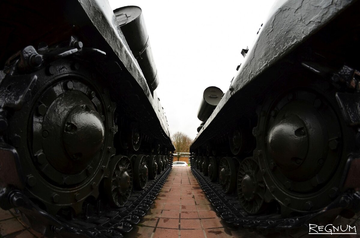    Танки Марина Каширская © ИА Регнум