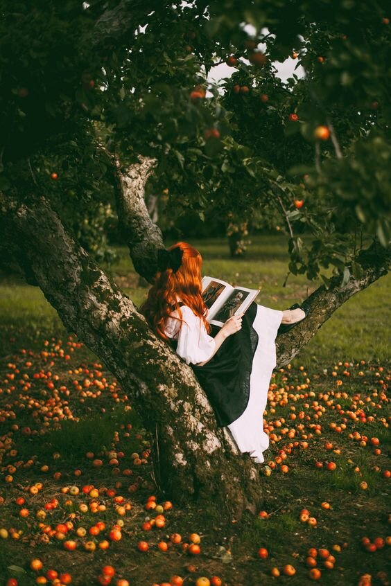 Источник: https://ru.pinterest.com/pin/704813410446128746/