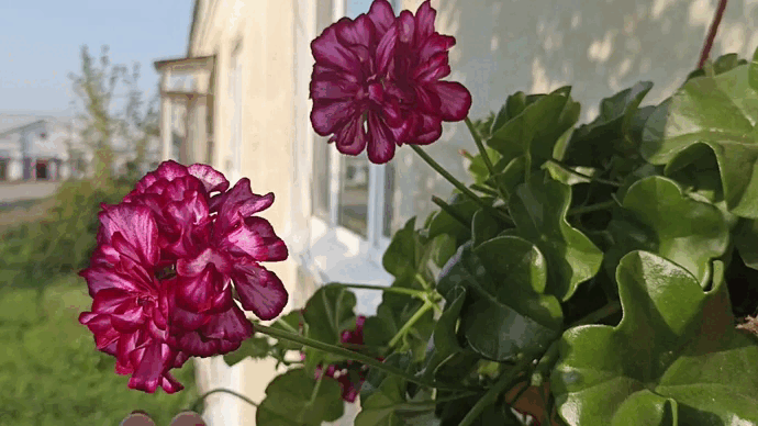 ������ ����� � ����� ������ ������ ������� ����������. ��-��, ��� ��� ������ � ������ � ���������. ���� ������ ��������, ��������� �������� �� �������� ������.-8