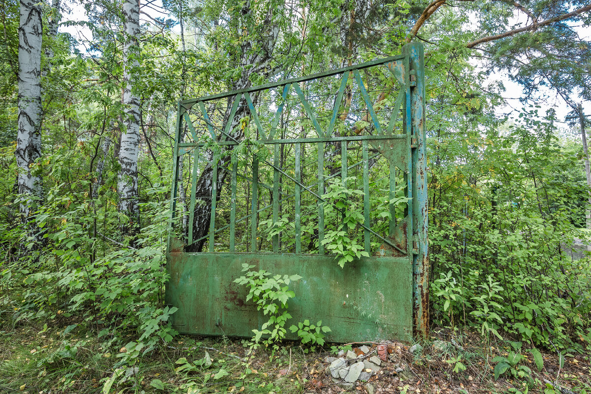 Лесные заброшки советской эпохи. Детский лагерь отдыха 