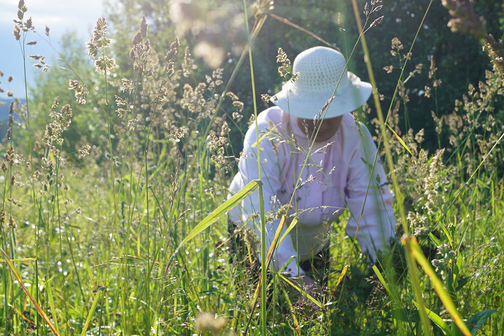 Яндекс.Картинки.