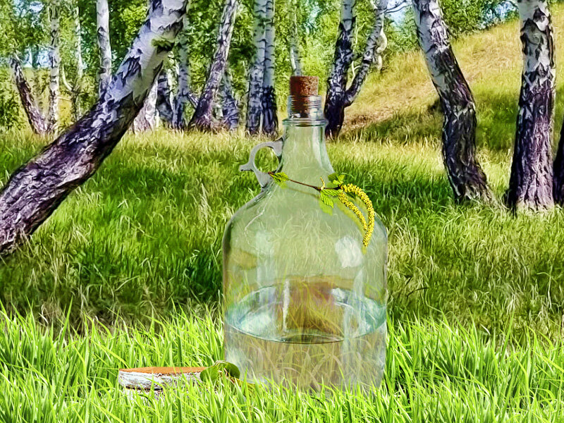 Картинка для канала Яндекс Дзен Самогонъ-Б12© Самогон на берёзовом соке.