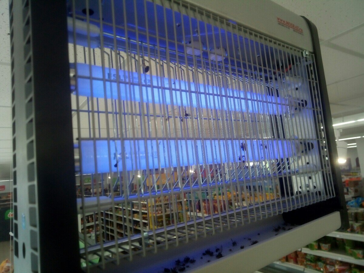 Ловушка и ее жертвы.