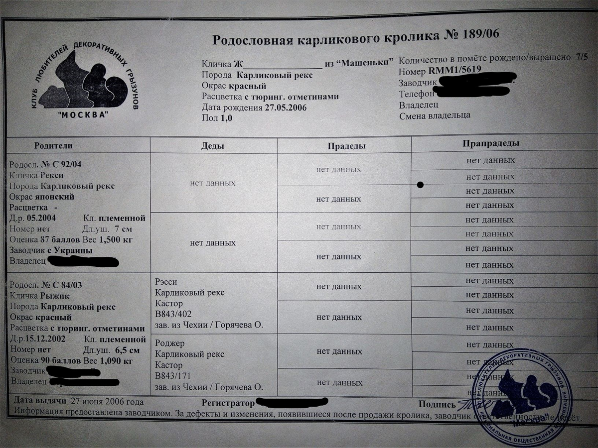 Имена, фамилии и телефоны скрыты. Но если кто-то захочет завести зайку - пишите в комментариях. Я свяжу Вас с заводчицей.