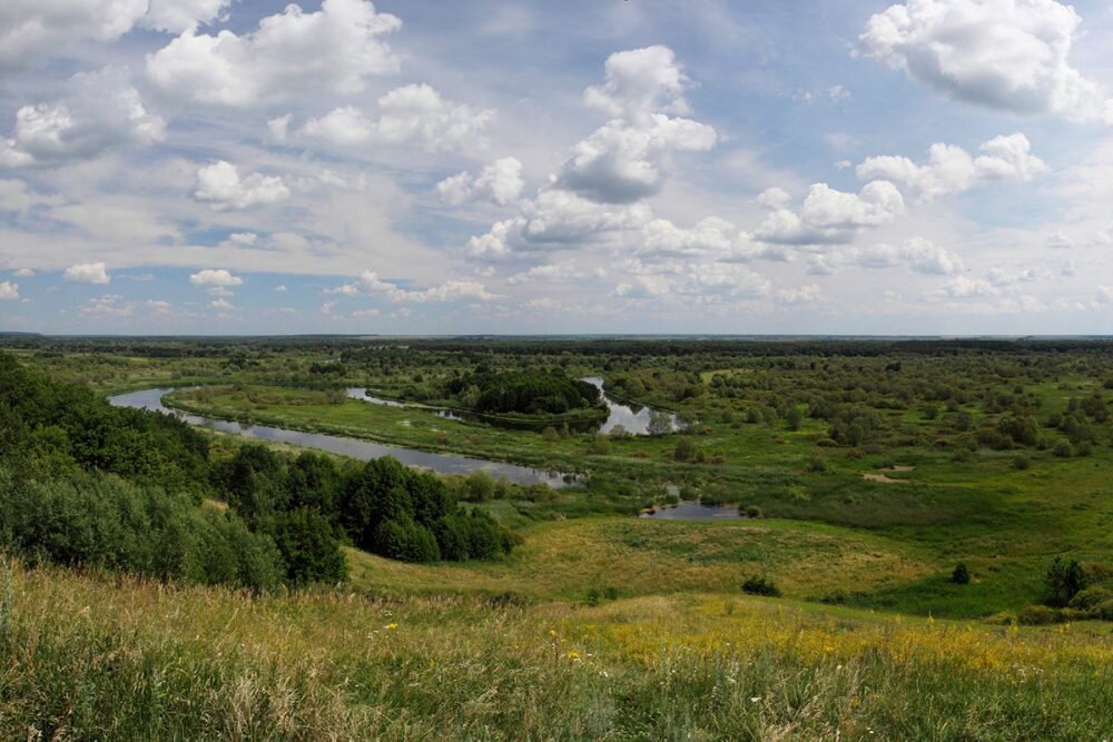 Изображение взято с https://tamlife.ru