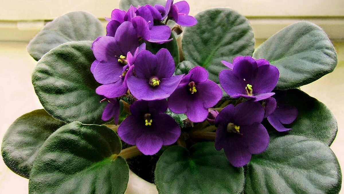 источник фото: charmslab.com