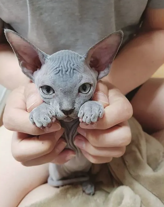 Источник фото: instagram.com