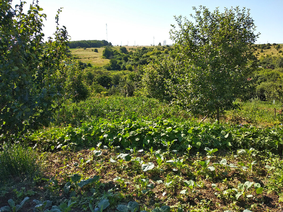 Участки ровно