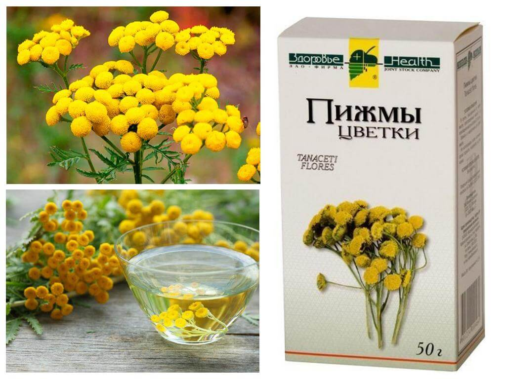 Фото: https://yandex.ru/images/