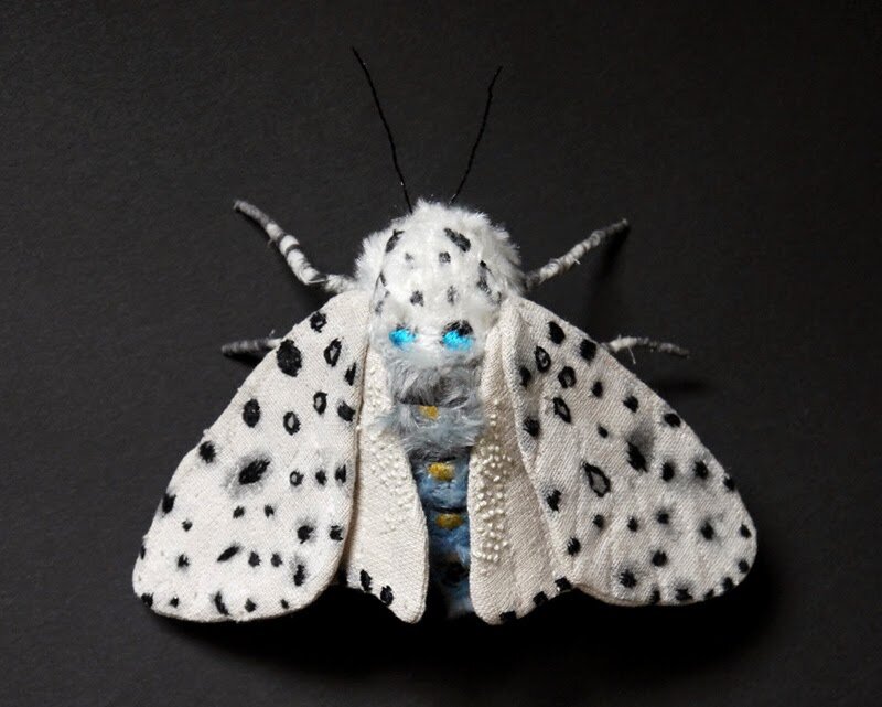 Мохнатая красотка. Источник фото - http://vladikana.gallery.ru/watch?ph=bD8V-fDBhF#feature=topscroll