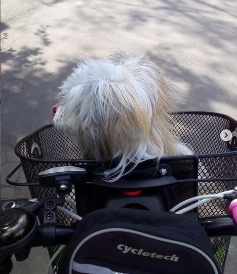 Эсмила путешественница