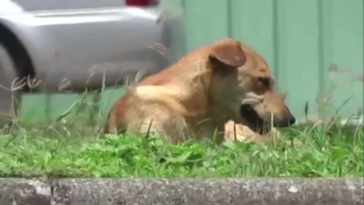 Источник:YouTube