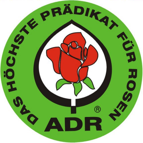 ADR