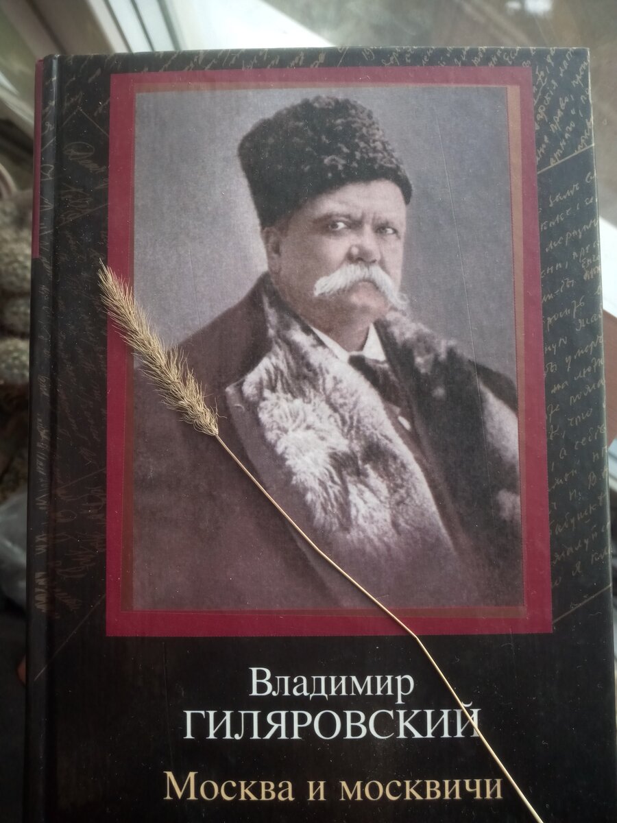 Книга владимира гиляровского москва и москвичи. Гиляровский портрет.