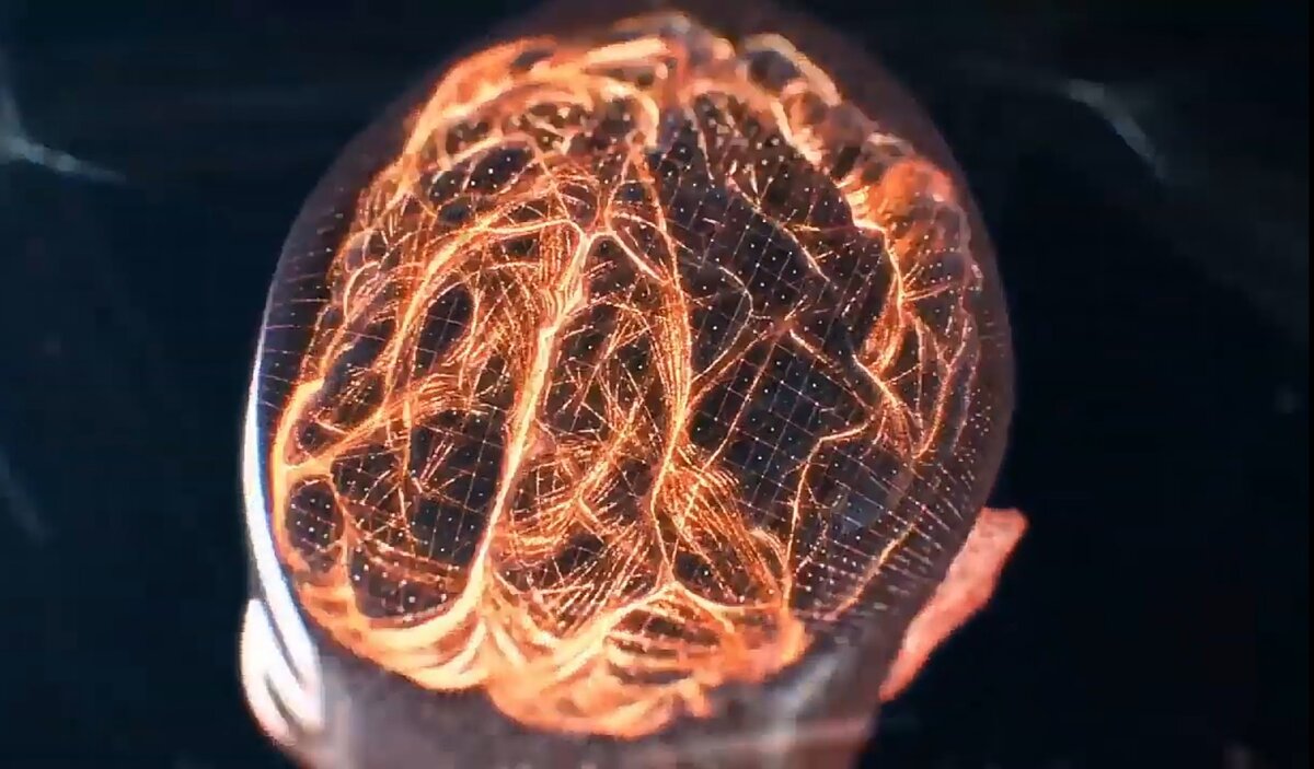 Фото из открытого доступа.