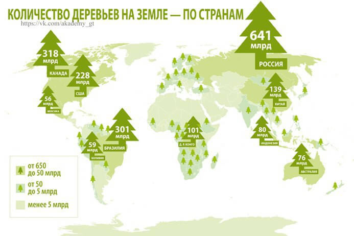 Самая лесная страна в мире. Вырубка лесов в мире карта. Карта вырубленных лесов России. Карта уничтожения тропических лесов. Карта вырубки лесов в мире.