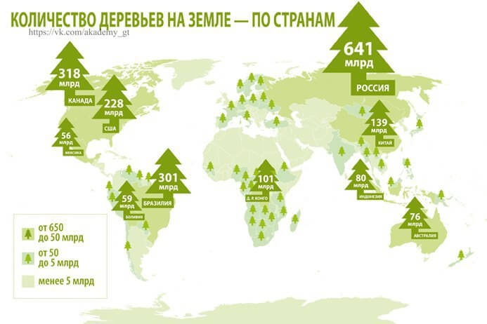 Сколько есть деревьев. Вырубка лесов в мире карта. Карта вырубки лесов в России. Карта вырубки лесов в мире. Вырубка лесов в России на карте.