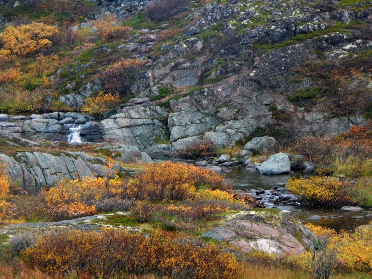 Фото из личного архива