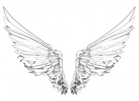 Источник Google. Картинки. Крылья