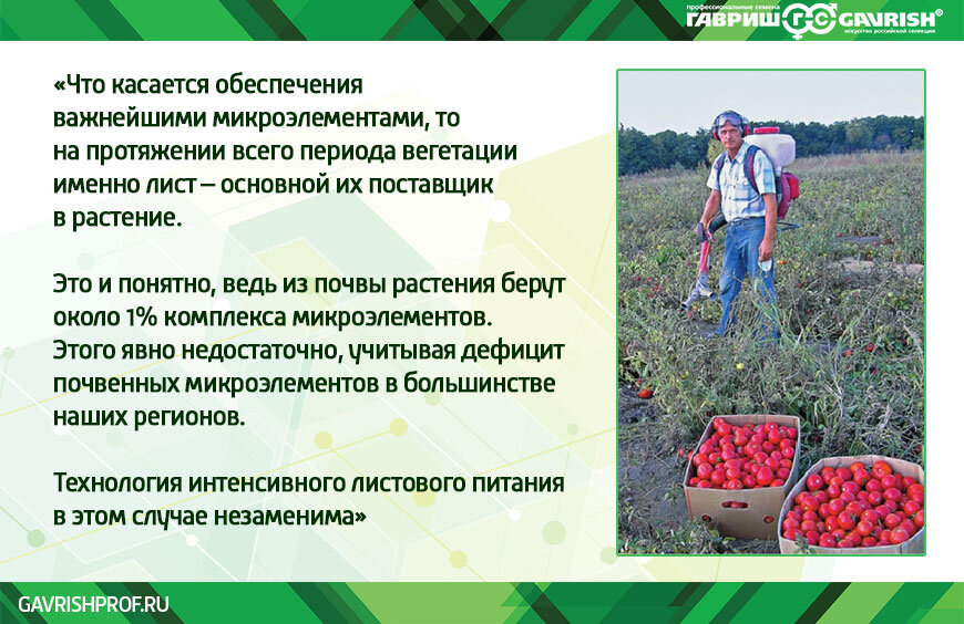 Удобрения огурцов по листу. Подкормка по листу. Внекорневая подкормка огурцов таблица. Внекорневая подкормка по листу. Внекорневое питание.