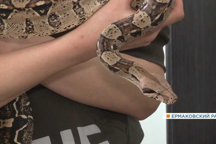 Стоп-кадр видео ТК «Енисей»