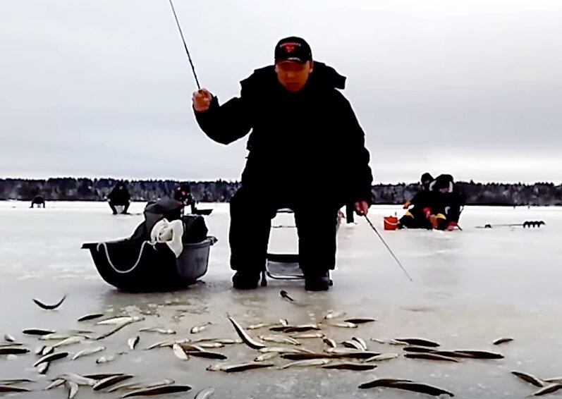 Крючки без бородок на блеснах Mr. Musurok Lures&Rods позволяют выбрасывать рыбу прямо возле лунки. Она сама слетает с крючка, не снижая темпа рыбалки.