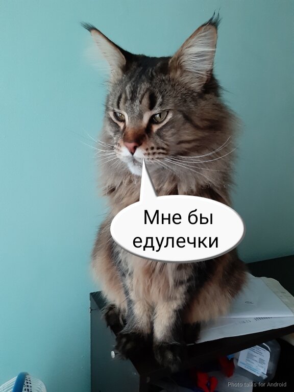 Он не даёт мне покоя 