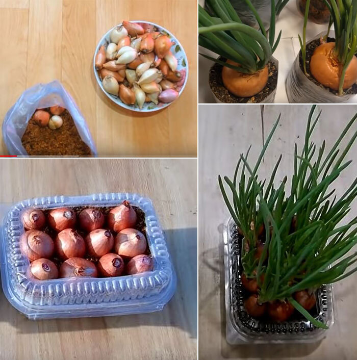 Источник: www.youtube.com