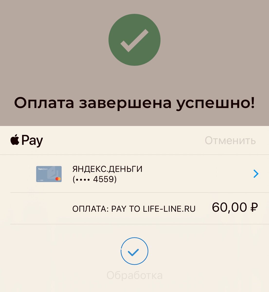 Оплата через Apple Pay с привязанной карты Яндекс.Деньги