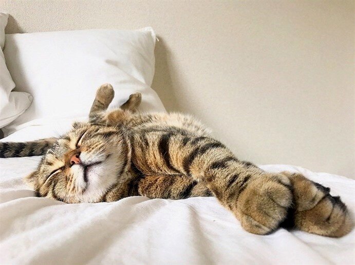 Источник фото: cute.maxtree.me