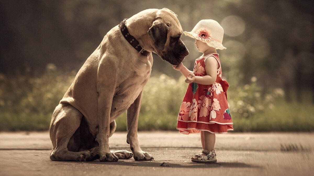 Яндекс картинки.