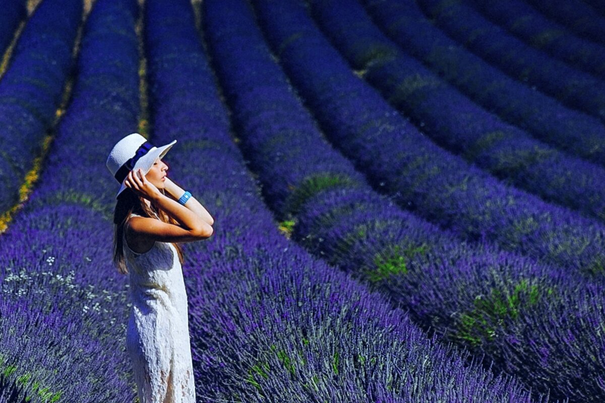 Деви лаванда певица. Поле аллене. Платье лавандового цвета. Поле аллене. Девушка с лавандой.